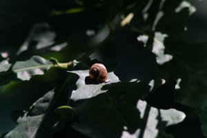 DSCF9650.JPG