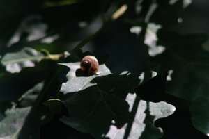 DSCF9651.JPG