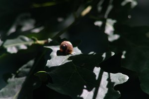 DSCF9652.JPG