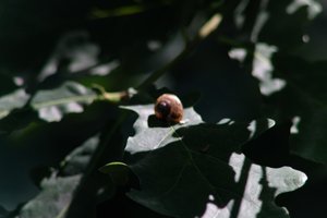 DSCF9653.JPG