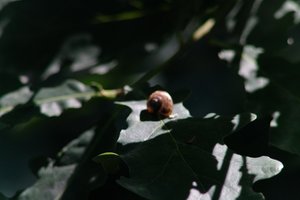 DSCF9654.JPG