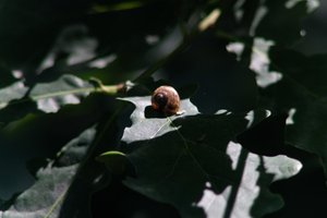 DSCF9655.JPG