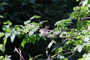 DSCF9691.JPG
