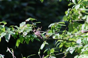 DSCF9711.JPG
