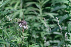 DSCF9755.JPG