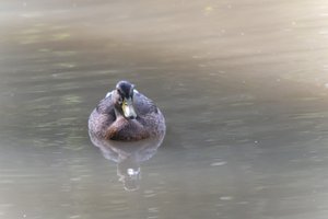 DSCF9853.JPG