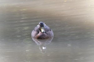 DSCF9854.JPG