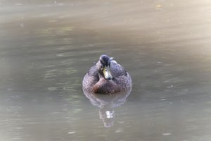DSCF9855.JPG
