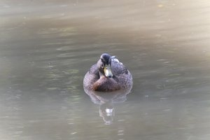 DSCF9856.JPG