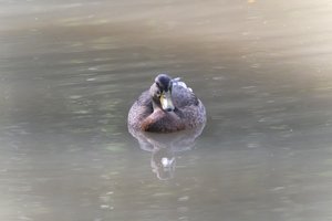 DSCF9857.JPG