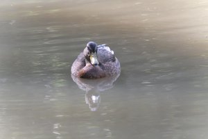 DSCF9860.JPG