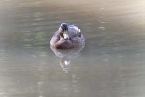 DSCF9861.JPG