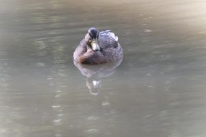 DSCF9863.JPG