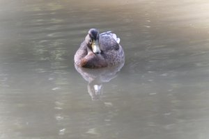 DSCF9864.JPG