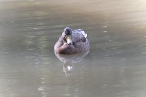 DSCF9865.JPG