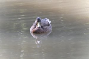 DSCF9866.JPG