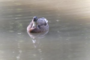 DSCF9867.JPG