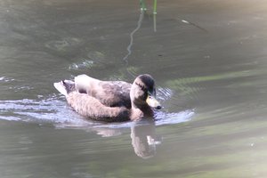 DSCF9872.JPG