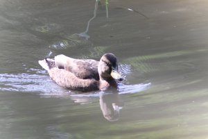 DSCF9873.JPG
