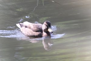 DSCF9874.JPG
