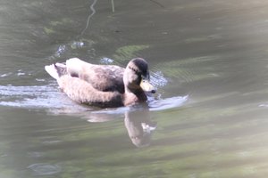 DSCF9875.JPG