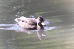 DSCF9876.JPG