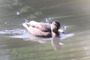 DSCF9880.JPG