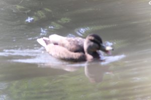 DSCF9881.JPG