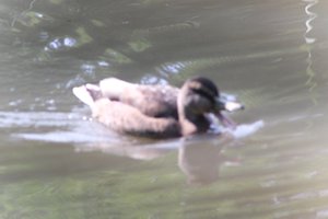 DSCF9882.JPG