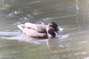 DSCF9883.JPG