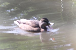 DSCF9884.JPG