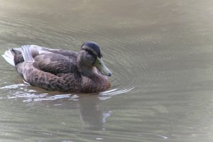 DSCF9886.JPG