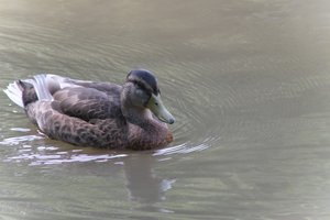 DSCF9887.JPG