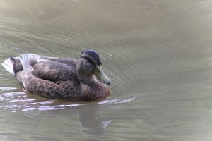 DSCF9888.JPG