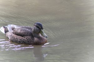 DSCF9889.JPG