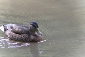 DSCF9890.JPG