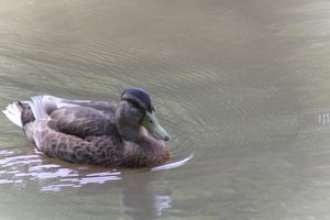 DSCF9891.JPG