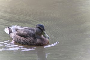 DSCF9893.JPG