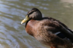 DSCF9894.JPG