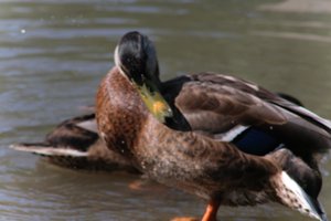 DSCF9911.JPG