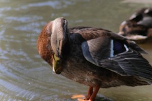 DSCF9916.JPG