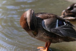 DSCF9917.JPG
