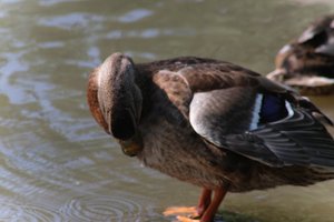 DSCF9919.JPG