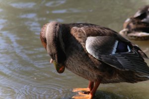 DSCF9920.JPG