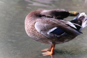 DSCF9943.JPG