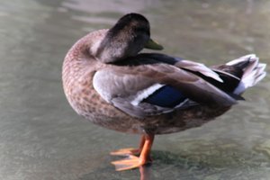 DSCF9945.JPG