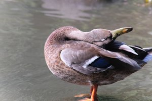DSCF9952.JPG