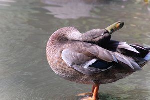 DSCF9957.JPG