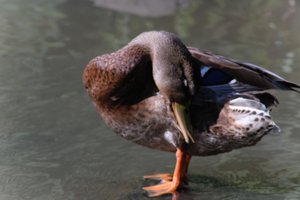 DSCF9959.JPG