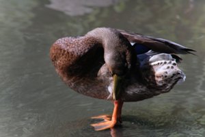 DSCF9961.JPG